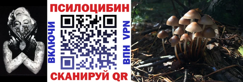 Псилоцибиновые грибы мухоморы  Казань 